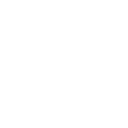 Cross-Functional Fluency